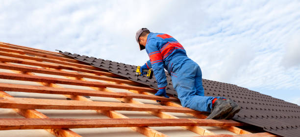 Best Roof Moss and Algae Removal  in El Granada, CA